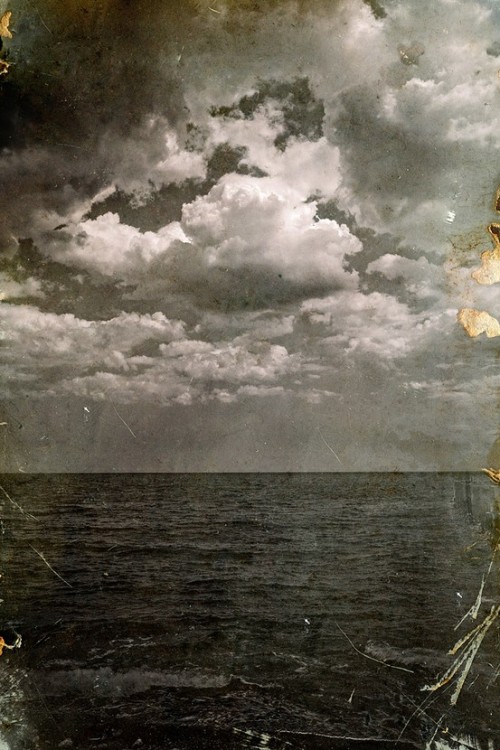 cropped-Rilke-Torso-arcaico-di-Apollo-1.jpg – TORSO ROTATION